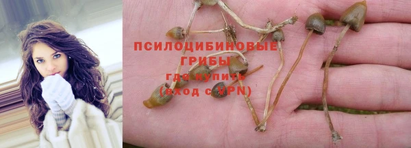 круглые Горно-Алтайск
