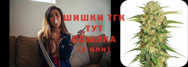 винт Горняк