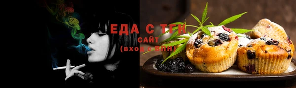 тгк Горнозаводск