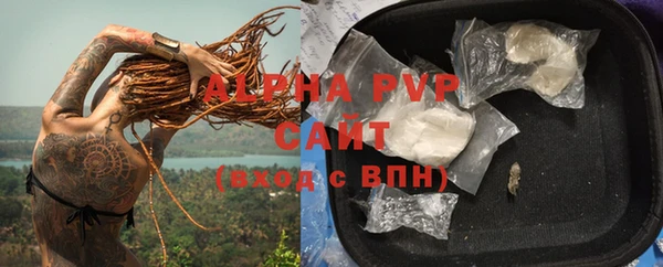 винт Горняк