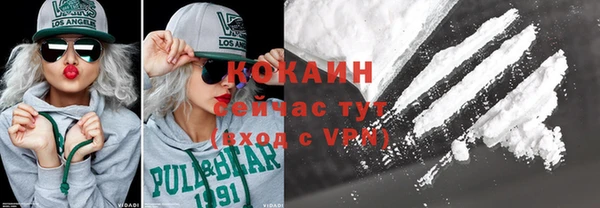 винт Горняк