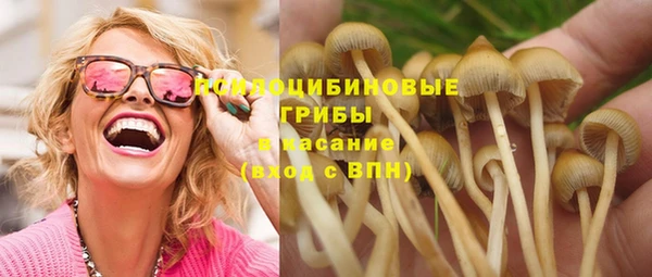 круглые Горно-Алтайск