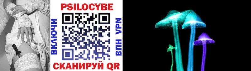 Псилоцибиновые грибы мицелий Вышний Волочёк